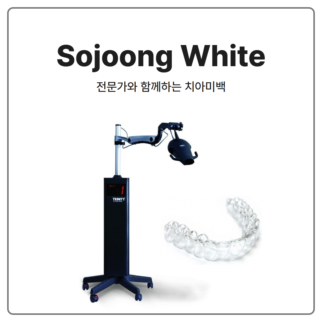 문정동 소중 White 치아미백