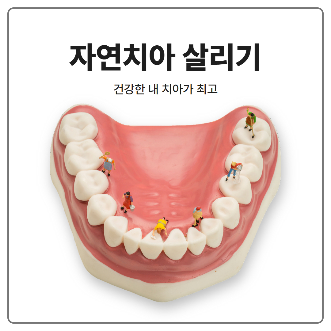 문정동 자연치아 살리기, 재신경치료, 현미경 치과