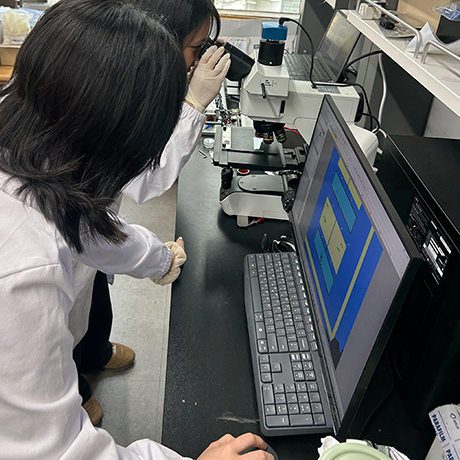 Research on Graphene Devices
