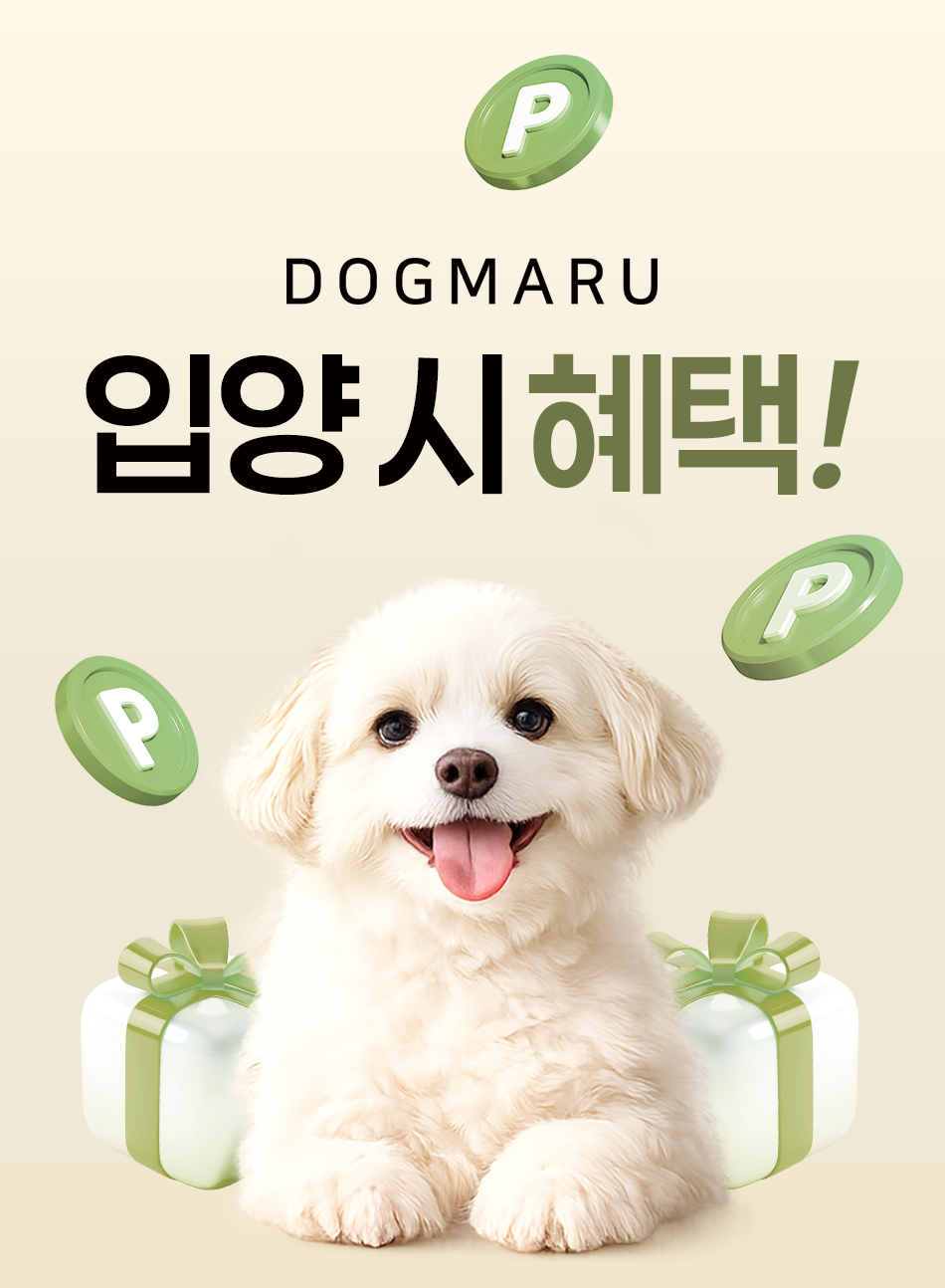 도그마루 입양 시 혜택