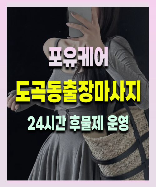도곡동출장안마 도곡동출장마사지 24시 프리미엄 방문 홈케어 서비스