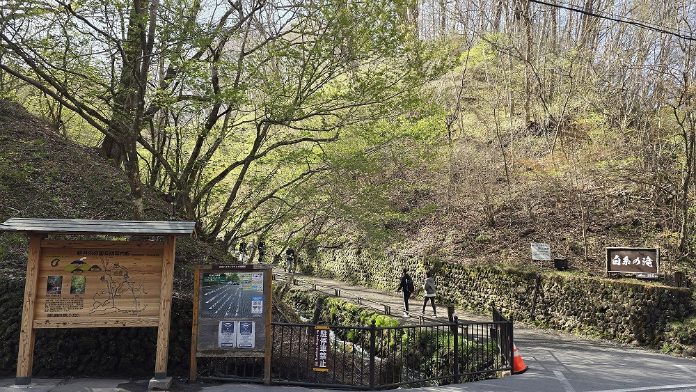 설국 니가타 사케 양조장 투어 미식여행 문학 소규모 일본 효도 온천여행 테마여행 기행