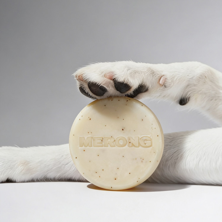 MERONG SHAMPOO BAR DUO SET 메롱 샴푸바 듀오세트 : merong