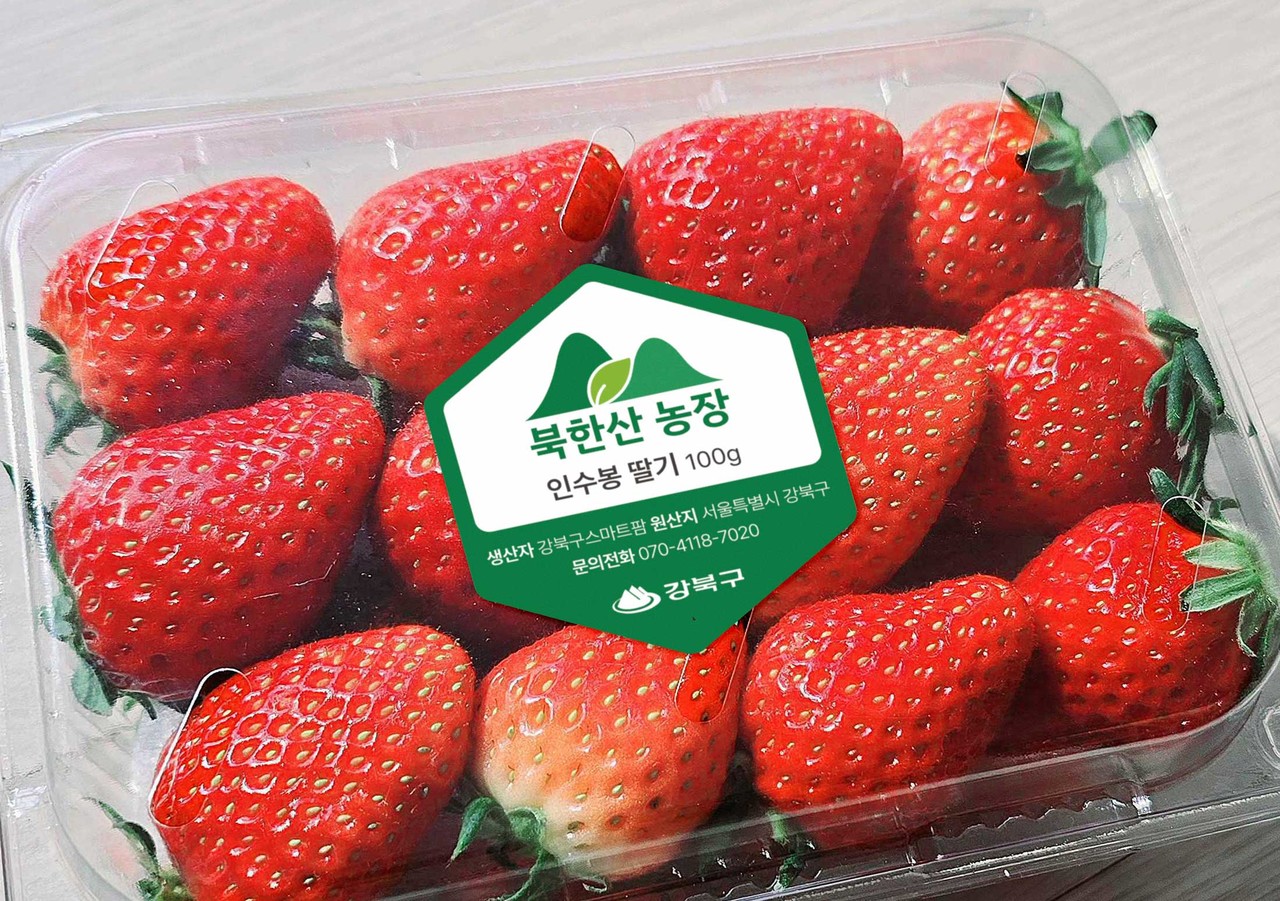 강북구청 북한산 농장 스마트팜 브랜딩 로고