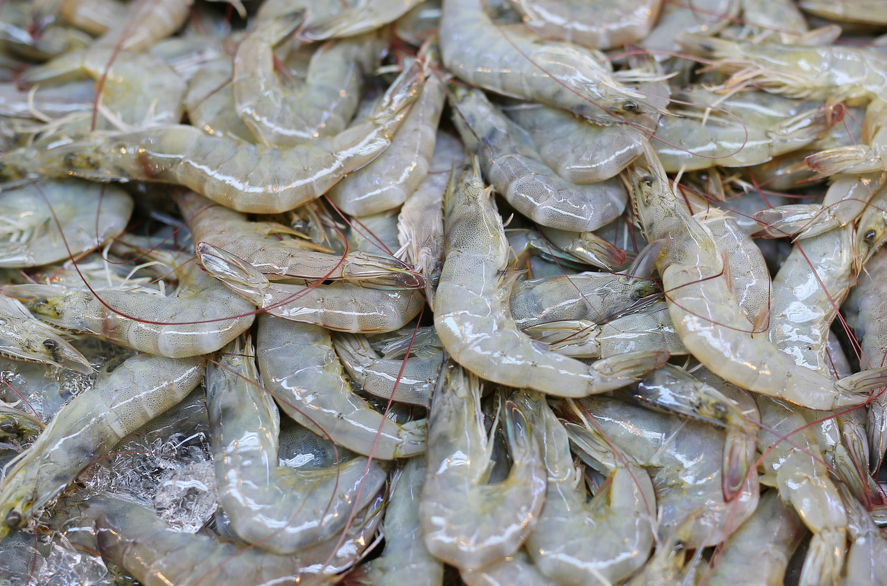 수산물