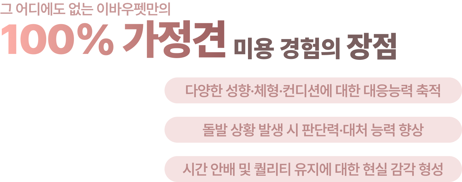 그 어디에도 없는 이바우펫만의 100% 가정견 실습의 장점 1. 다양한 견종 경험 가능 2. 돌발 상황 대처 능력 향상 가능 3. 고객 커뮤니케이션 능력 향상