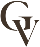 GV PLASTIC SURGERY