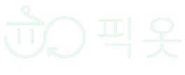 픽옷