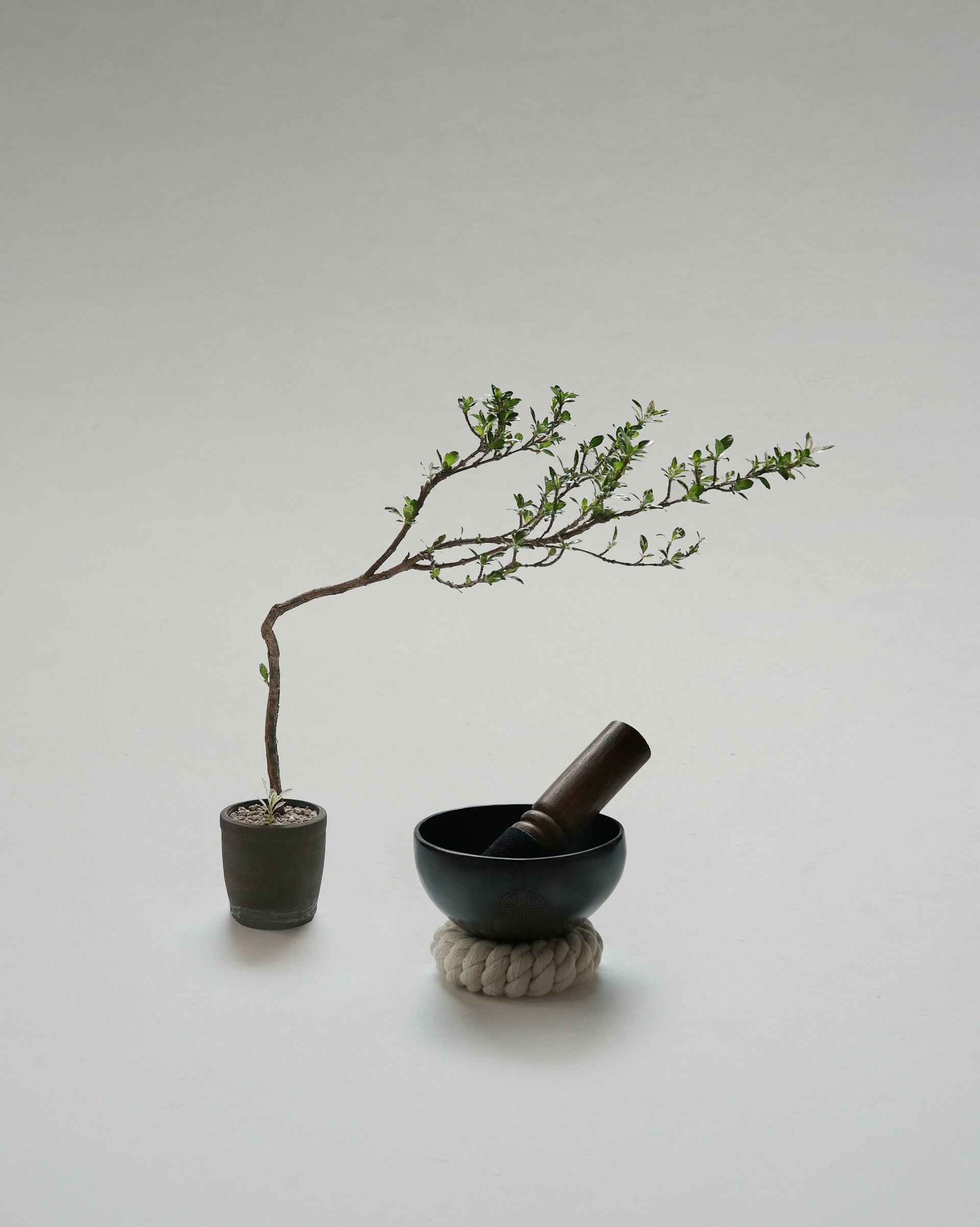 sound bath singing bowl