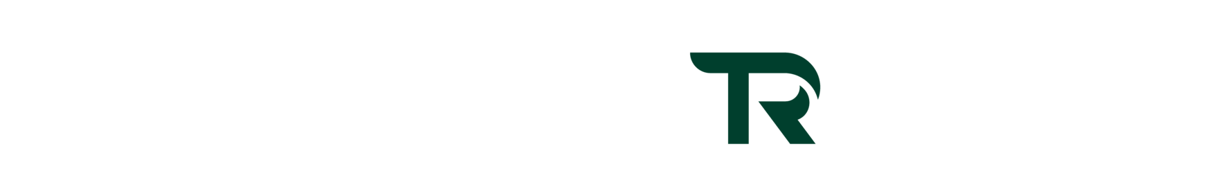 공공기관 전문 조달 스크린파크골프 ㅣ 더인츠 테라파크골프 (Terra Parkgolf)