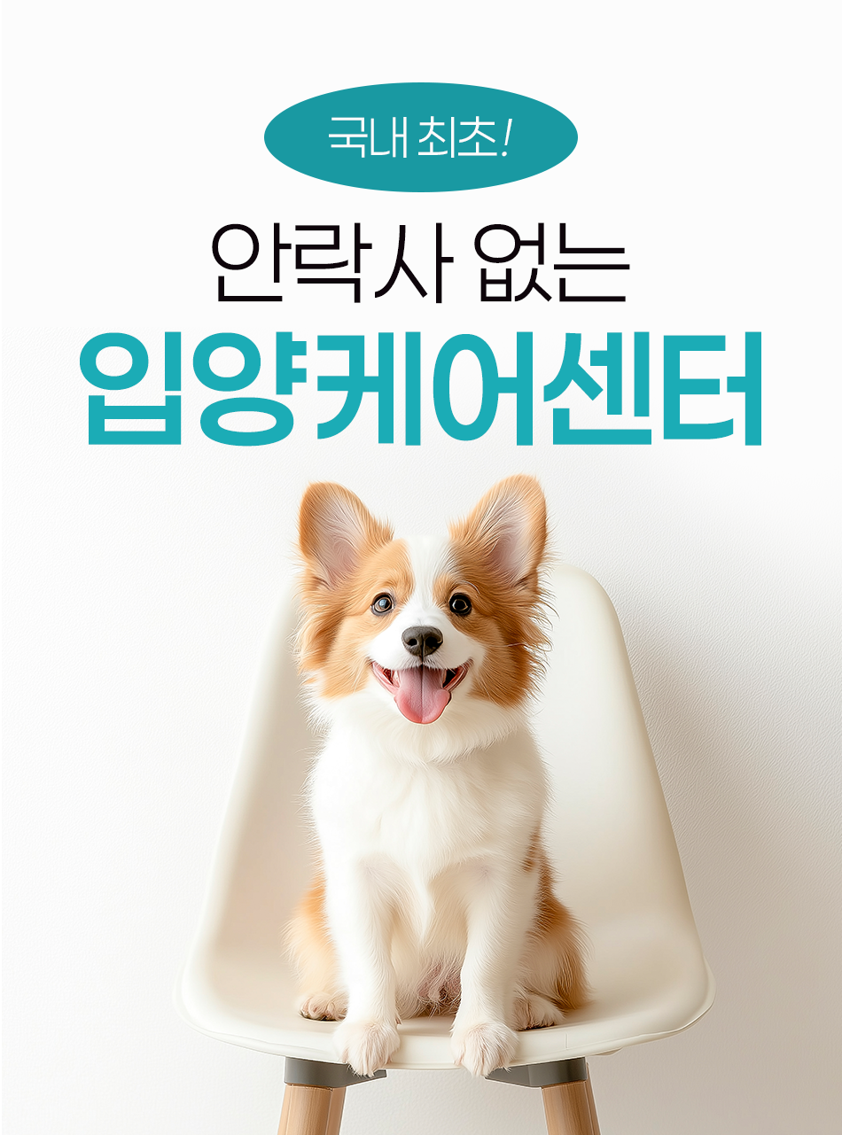 국내 최초 안락사 없는 입양케어센터