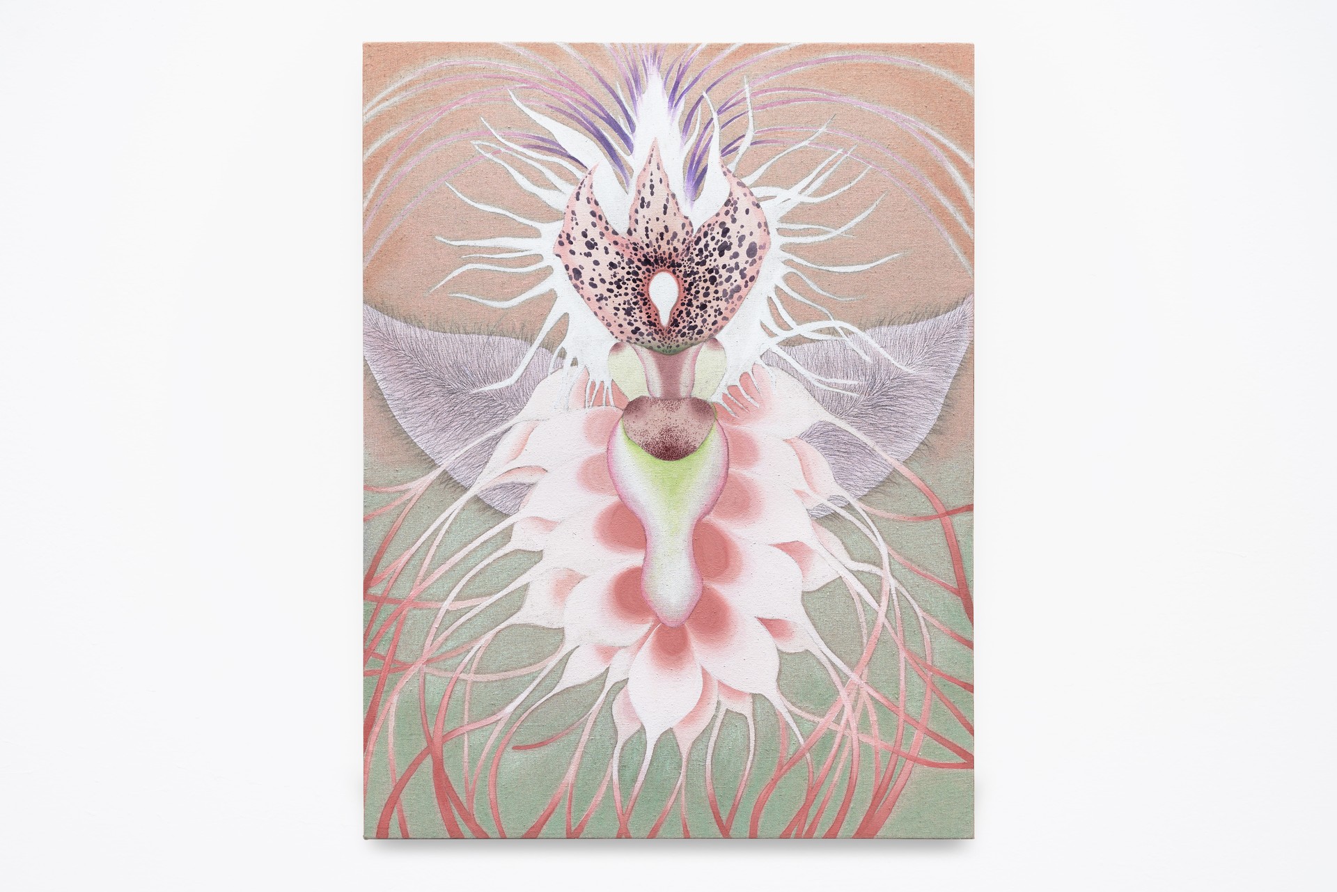 로샤(Rorschach)_4, 2026, 리넨에 분채, 호분, 색연필(Pigment, Shell White, Color Pencil on Linen), 65 × 50cm