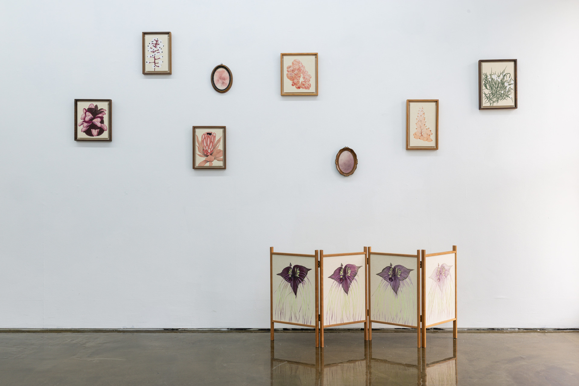모든살은풀, 2025-2026, 장지에 분채, 석채, 호분(Pigment, Mineral Pigment, Shell White on Korean paper), 6pcs