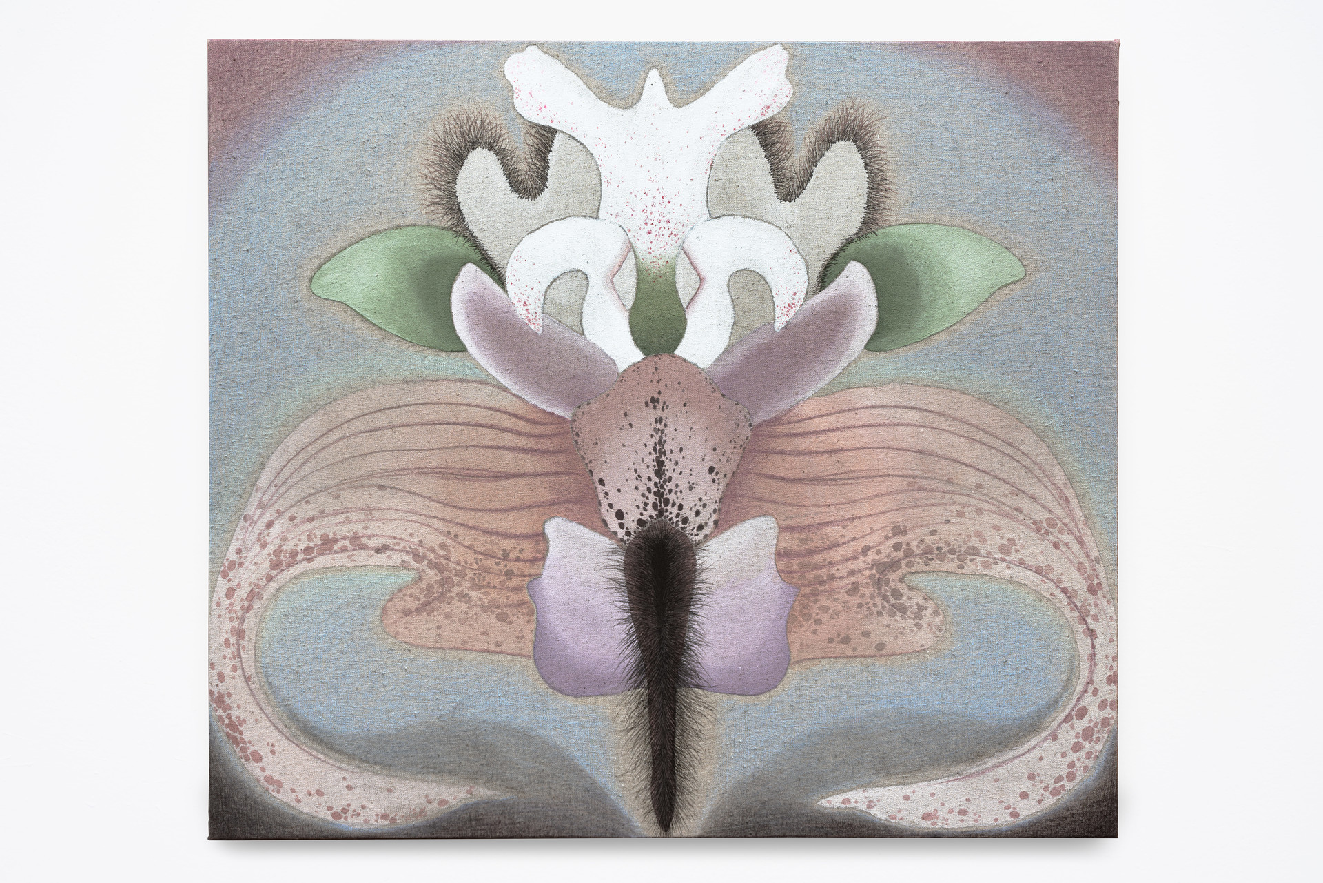 로샤(Rorschach)_5, 2026, 리넨에 분채, 호분, 색연필(Pigment, Shell White, Color Pencil on Linen), 45.5 × 53cm