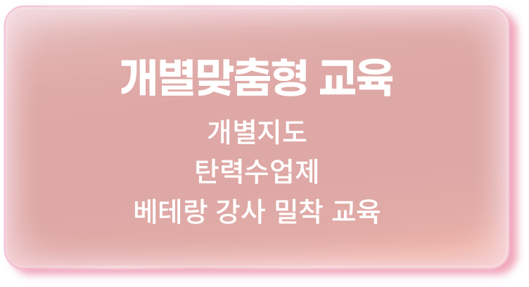 이바우펫 교육 시스템 1. 개별 맞춤형 교육