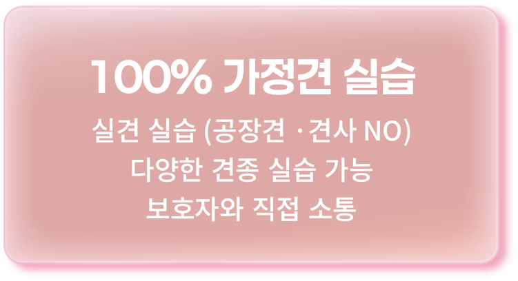 이바우펫 교육 시스템 2. 취업 맞춤형 수업