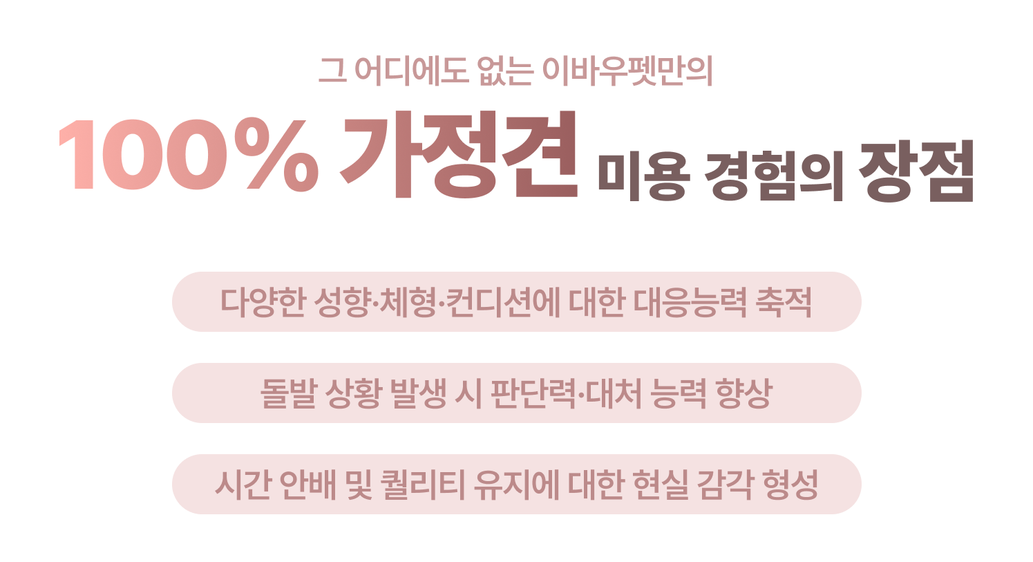 이바우펫 100% 가정견 실습의 장점 1. 다양한 성향, 체형, 컨디션에 대한 대응 능력 축적 2. 돌발 상황 대처 능력 3. 시간 배분, 디자인 퀄리티 향상