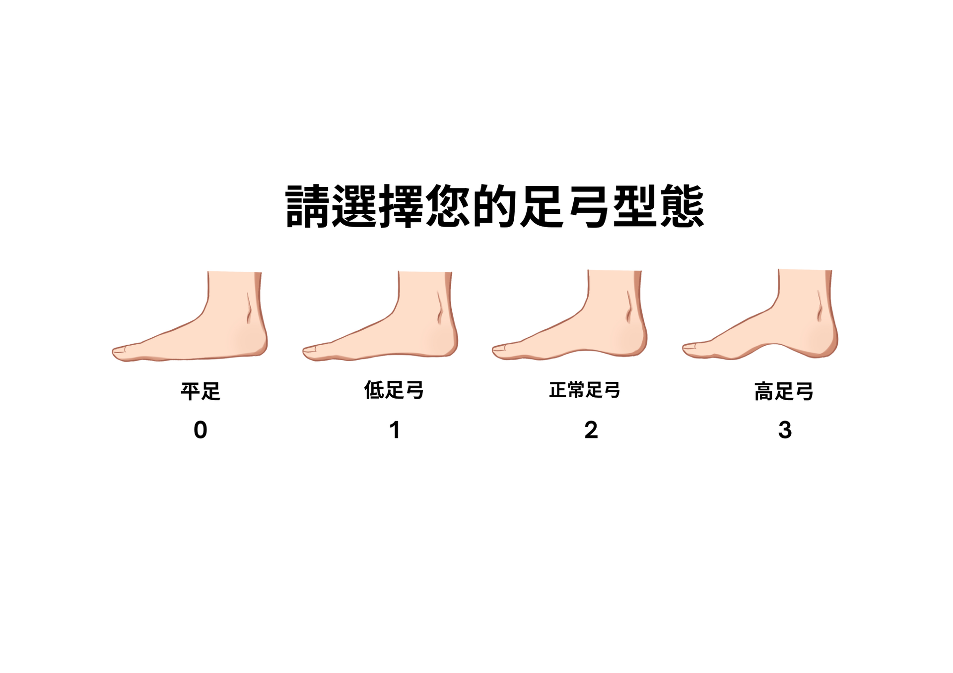 足弓類型說明