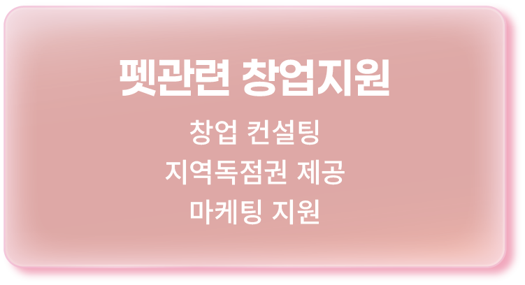 이바우펫 커리큘럼 100% 가정견 실습으로 다양한 견종 실습 가능, 보호자와 커뮤니케이션 능력 향상