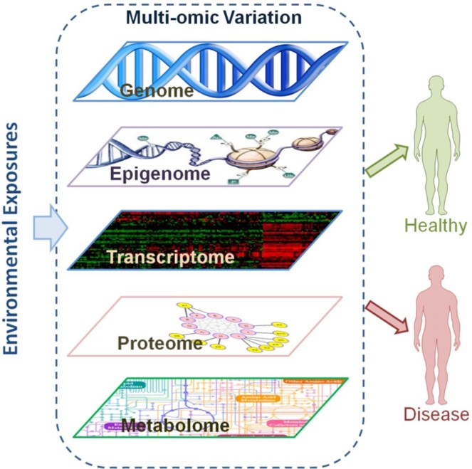 Omics analysis