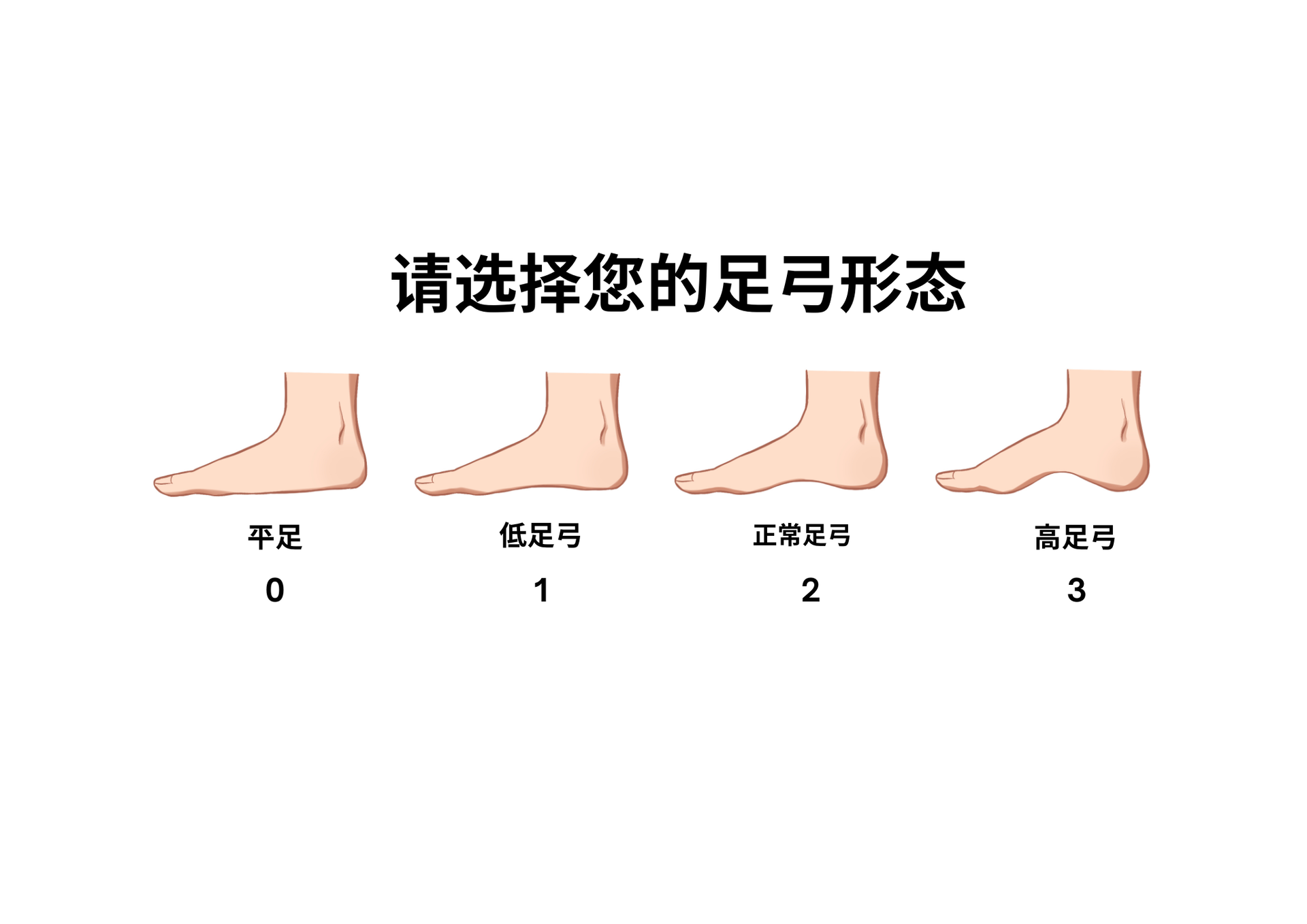 足弓类型说明