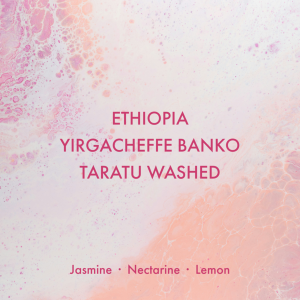 Photo of Ethiopia Yirgacheffe Banko Taratu Washed