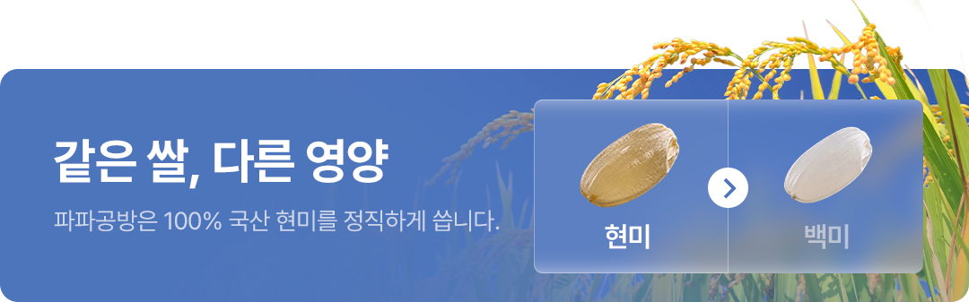 모바일 배너 2
