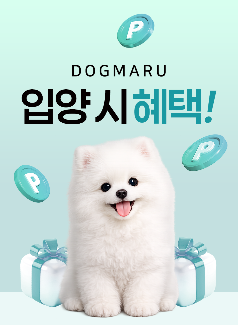 도그마루 입양 시 혜택