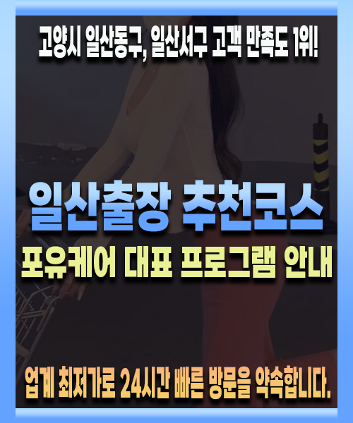 일산출장 추천코스