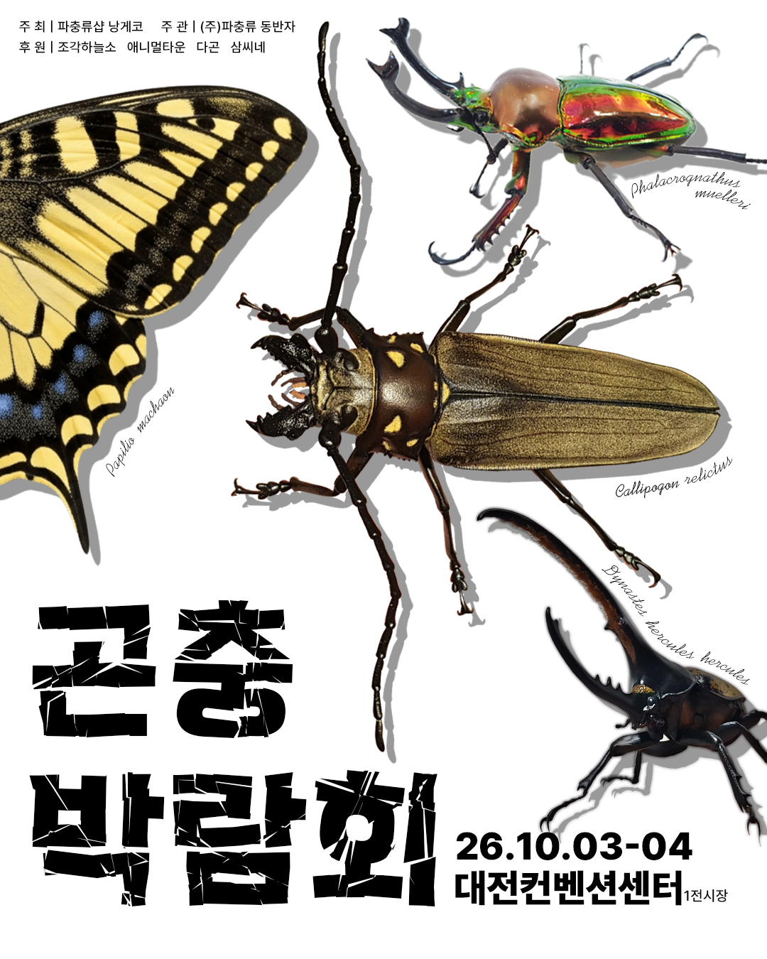 <br><h5>곤충박람회</h5>