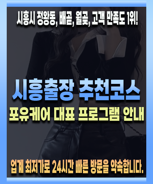 시흥출장 추천코스