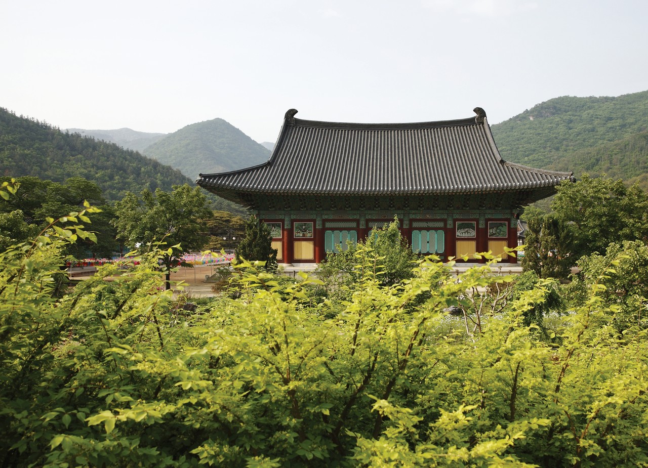 세속적 중도는 가짜 중도다 - 중도(中道) · 불이(不二)는 불의(不義)와의 타협 아니다