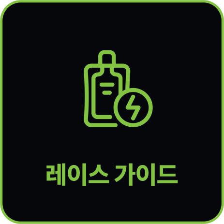 레이스 가이드