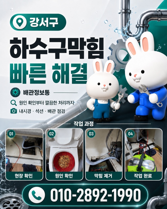 강서구 하수구막힘 업체