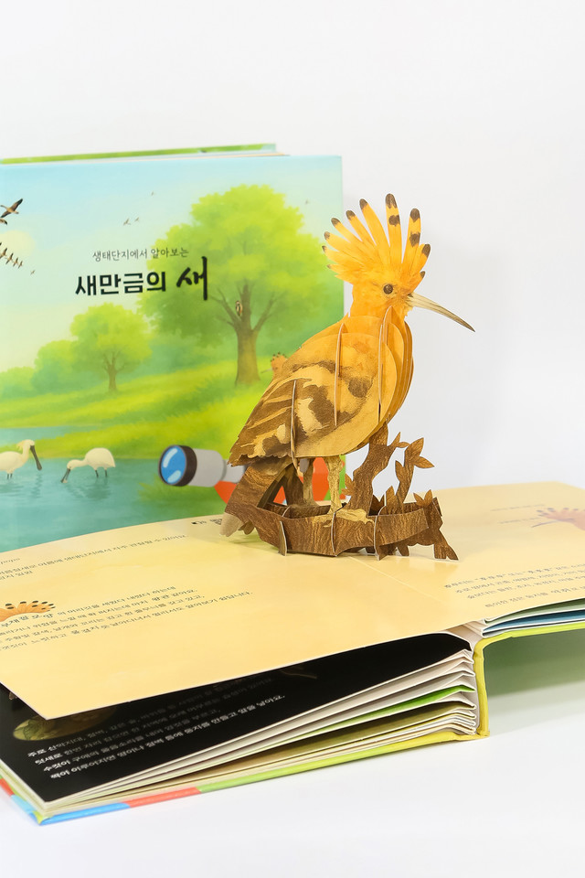 팝업 북