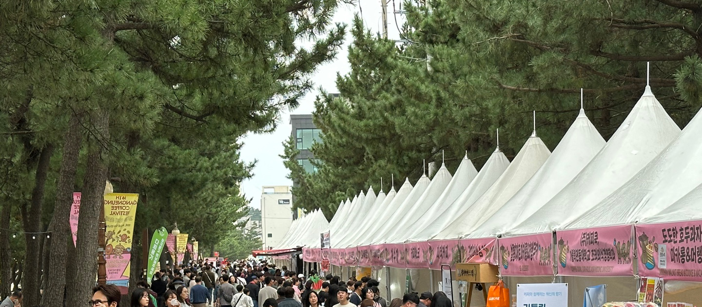 갤러리 이미지 12