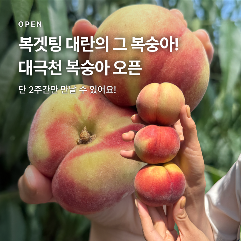 복숭아