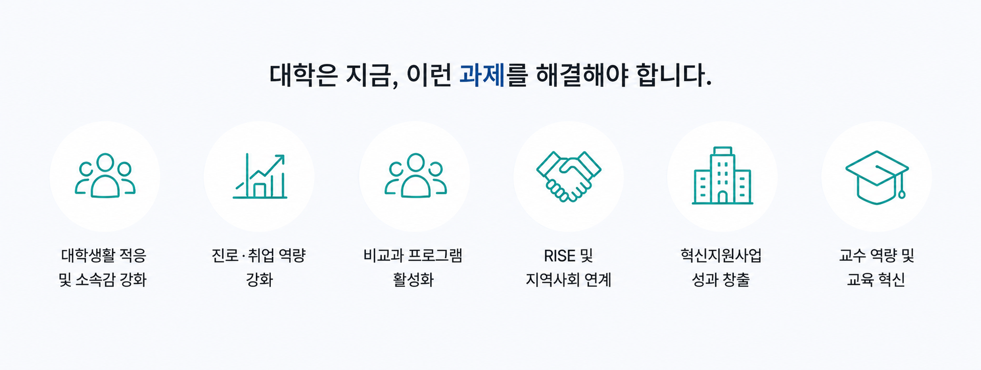 대학이 해결해야 할 주요 과제를 정리한 이미지로 대학생활 적응과 소속감 강화, 진로·취업 역량 강화, 비교과 프로그램 활성화, RISE 및 지역사회 연계, 혁신지원사업 성과 창출, 교수역량 강화와 교육 혁신을 보여줍니다.
