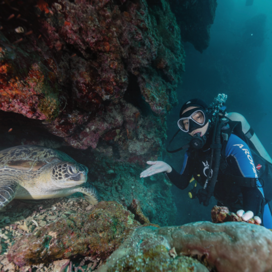 <p style="margin-left:10px;">10% off Introductory Diving Experience</p><h5 style="margin-left:10px">All Blue</h5>