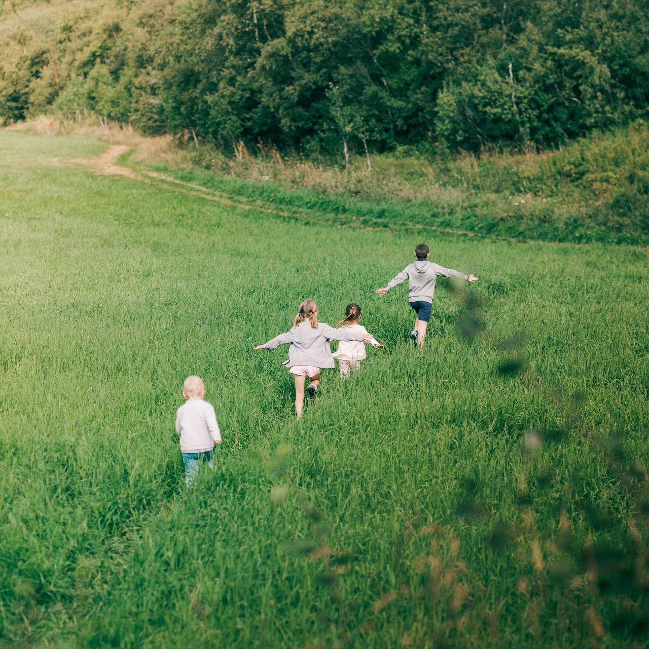 <p style="margin-left:10px;">Kids Package</p><h5 style="margin-left:10px">Little Adventure</h5>