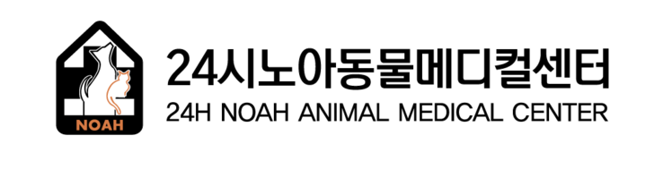 노아동물메디컬센터