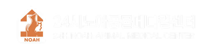 노아동물메디컬센터