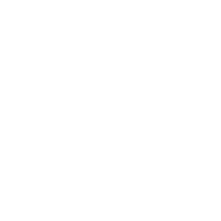 IP icon