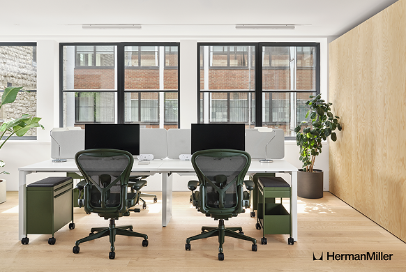 오름앤컴퍼니 hermanmiller