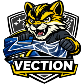 VECTION