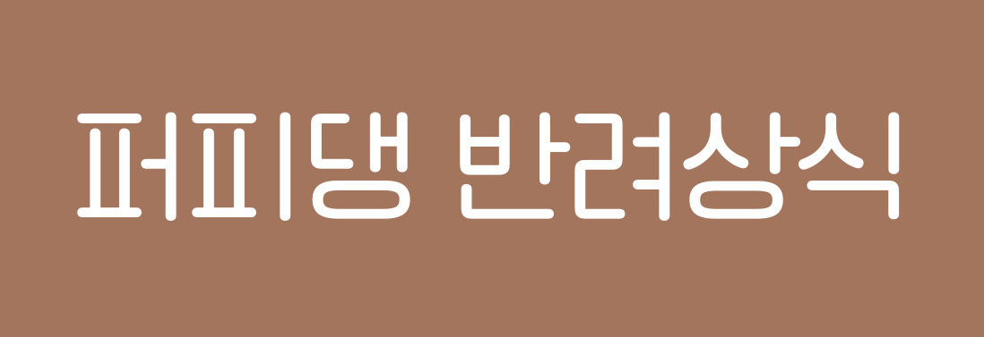 퍼피댕 반려상식