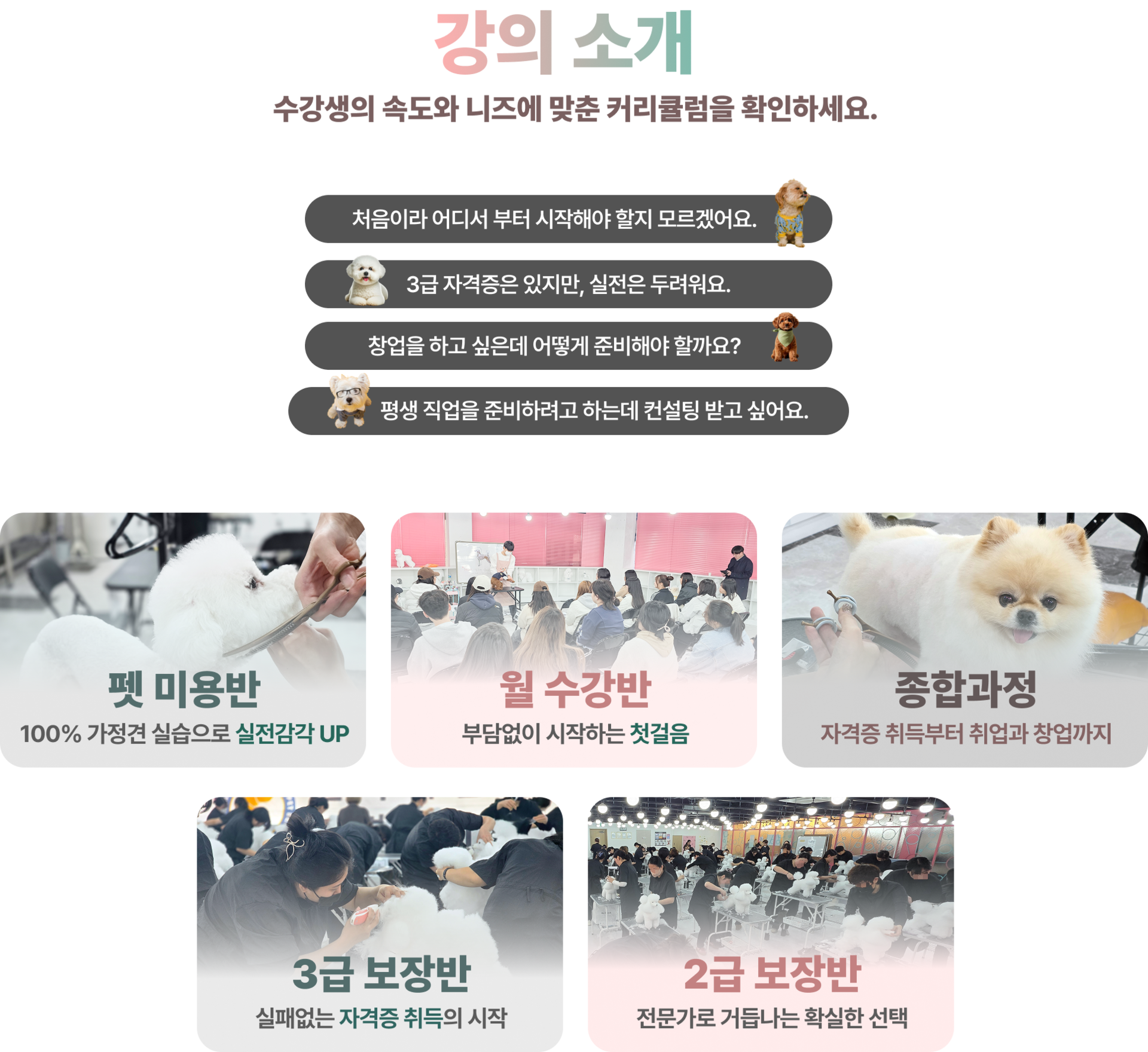 3급 자격증, 월 수강반, 종합과정, 2급 보장반, 월 수강반