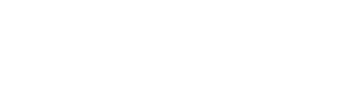 매니지먼트 인