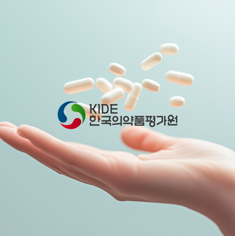 한국의약품평가원 공공·연구기관 홈페이지 제작 포트폴리오