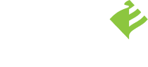 SELVAS AI